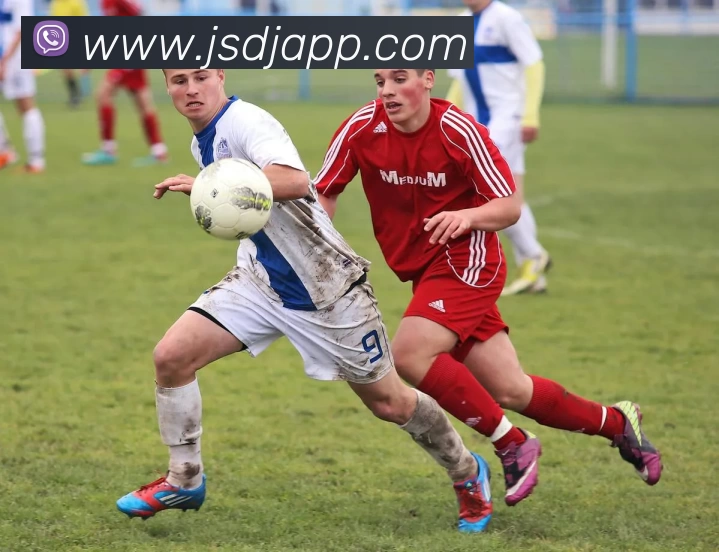 极速电竞APPAPP 封面图